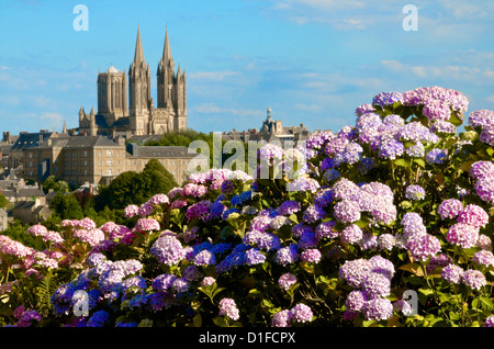 Panorama mit Hortensien und Kathedrale Notre-Dame auf die Skyline der Stadt von Coutances, Cotentin, Normandie, Frankreich Stockfoto