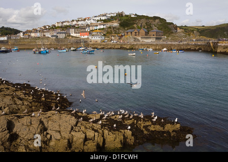 Mevagissey, St. Austell, Cornwall, England, Vereinigtes Königreich, Europa Stockfoto