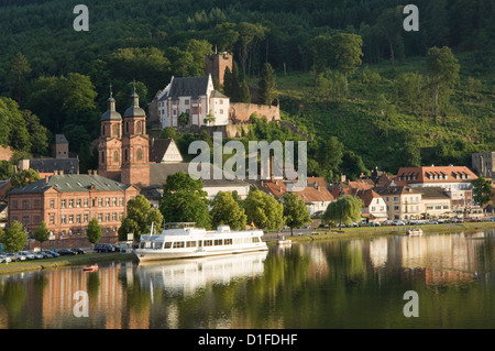 Blick über den Main in Miltenberg, Bayern, Deutschland, Europa Stockfoto