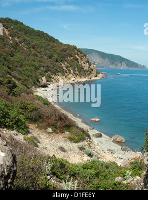 National Park in der Nähe von Jalta Maratyan, Krim, Ukraine. Areal anzeigen. Stockfoto