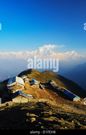 Dhaulagiri Himal gesehen von Khopra, Nepal Annapurna Conservation Area, Dhawalagiri (Dhaulagiri), Western Region (Pashchimanchal) Stockfoto