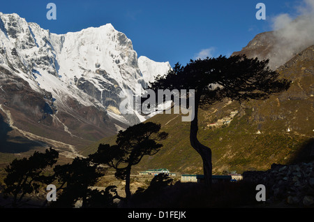 Thame Dorf, Sagarmatha Nationalpark, Solukhumbu Bezirk, Sagarmatha, Ostregion (Purwanchal), Nepal, Himalaya, Asien Stockfoto