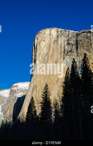 Morgenlicht am El Capitan im Yosemite-Nationalpark, Kalifornien USA winter Stockfoto