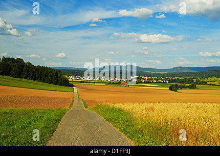 Ländliches Motiv, Dorf Lauffen, in der Nähe von Rottweil, Schwarzwald, Schwarzwald-Baar, Baden-Wurttemberg, Deutschland, Europa Stockfoto