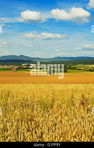 Ländliches Motiv, Dorf Lauffen, in der Nähe von Rottweil, Schwarzwald, Schwarzwald-Baar, Baden-Wurttemberg, Deutschland, Europa Stockfoto