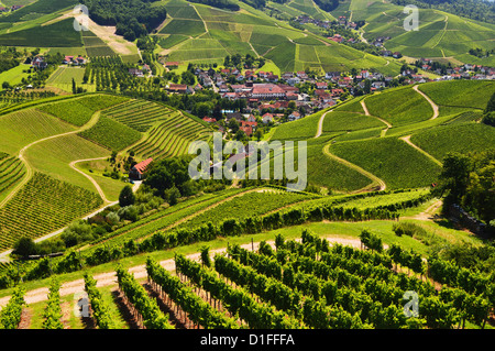 Blick auf Weinberge und Dorf Durbach, Ortenau, Baden-Wurttemberg, Deutschland, Europa Stockfoto