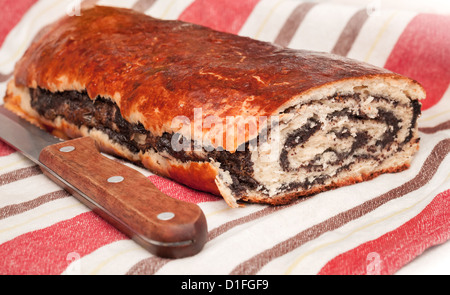 Frische hausgemachte Brötchen mit Mohn Stockfoto