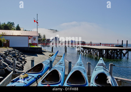 Kajaks auf Vancouver Island BC-Tofino Bay Stockfoto