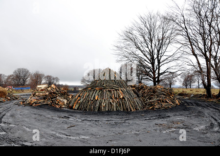 Holzkohle Haufen in der Natur, Siebenbürgen, Rumänien Stockfoto