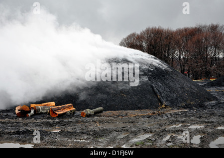 Holzkohle Haufen in der Natur, Siebenbürgen, Rumänien Stockfoto