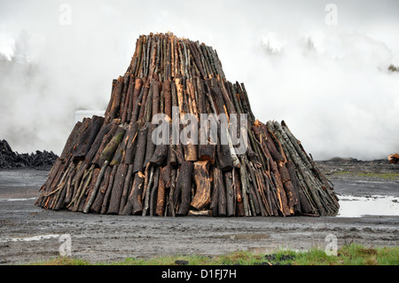 Holzkohle Haufen in der Natur, Siebenbürgen, Rumänien Stockfoto