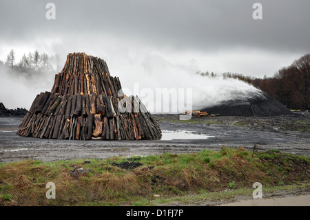 Holzkohle Haufen in der Natur, Siebenbürgen, Rumänien Stockfoto