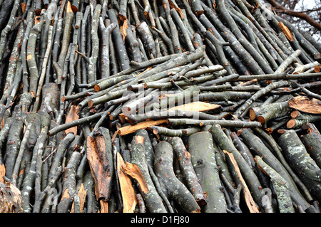 Holzkohle Haufen in der Natur, Siebenbürgen, Rumänien Stockfoto