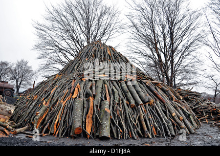 Holzkohle Haufen in der Natur, Siebenbürgen, Rumänien Stockfoto