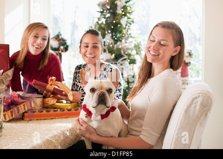 Freunden und Hund Weihnachten feiern Stockfoto