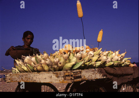 Ein Trödler verkaufen gegrillte Maiskolben auf dem Markt. Madras (Chennai) Tamil Nadu, Indien Stockfoto