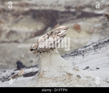 Hoodoo gebildet durch ein Stück versteinertes Holz, San Juan Bassin, New Mexico, Vereinigte Staaten von Amerika, Nordamerika Stockfoto