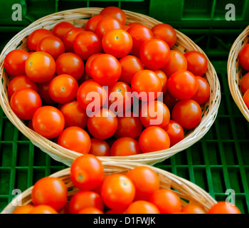 CHERRY-TOMATEN Stockfoto