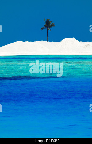 Sandbank und Palm-Baum am tropischen Strand, Malediven, Indischer Ozean, Asien Stockfoto