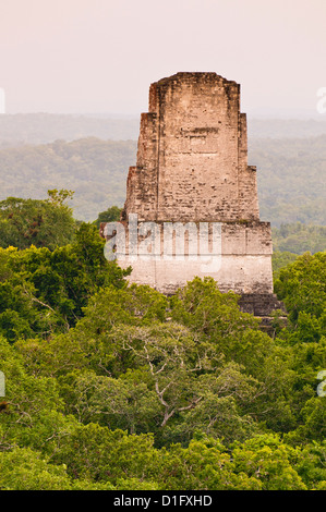 Tikal National Park (Parque Nacional Tikal), UNESCO World Heritage Site, Guatemala, Mittelamerika Stockfoto