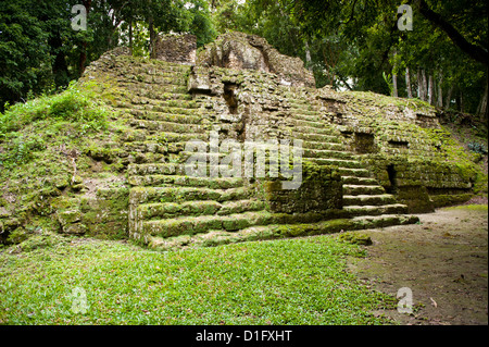 Tikal National Park (Parque Nacional Tikal), UNESCO World Heritage Site, Guatemala, Mittelamerika Stockfoto