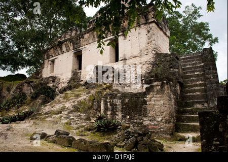 Tikal National Park (Parque Nacional Tikal), UNESCO World Heritage Site, Guatemala, Mittelamerika Stockfoto