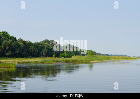 Everglades, UNESCO World Heritage Site, Florida, Vereinigte Staaten von Amerika, Nordamerika