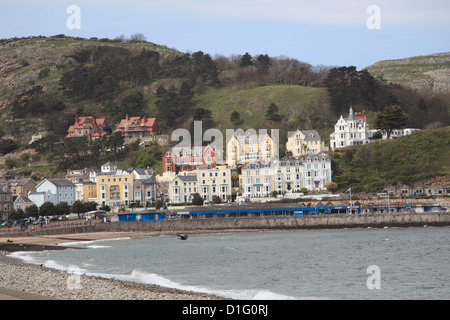 Am Meer, Llandudno, Conwy Grafschaft, Nord-Wales, Wales, Vereinigtes Königreich, Europa Stockfoto