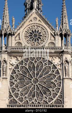 Südliche Fassade von Notre-Dame de Paris Kathedrale, Paris, Frankreich, Europa Stockfoto