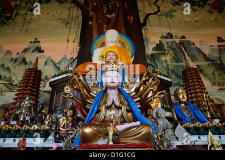 Buddha-Statuen, Tu eines buddhistischen Tempels, Saint Pierre En Faucigny, Haute Savoie, Frankreich, Europa Stockfoto