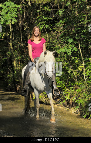 Reiter auf der Rückseite ein Paso Fino Pferd Reiten in Wasser Stockfoto