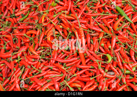 Bird Eye Chilli oder Cili Padi am Markt in Kuching, Malaysia Stockfoto