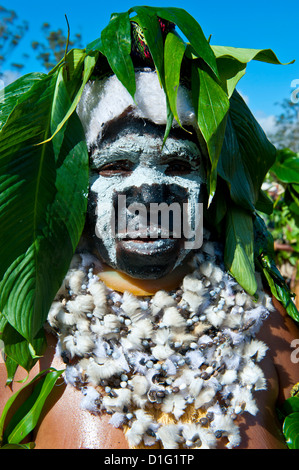 Bunt gekleidet und Gesicht malte Frau feiert die traditionelle Sing Sing in den Highlands, Papua-Neu-Guinea, Melanesien Stockfoto