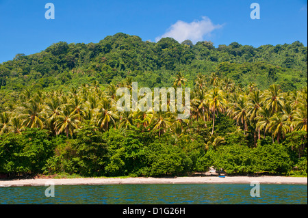 Strand auf Savo Island, Salomonen, Pazifik Stockfoto