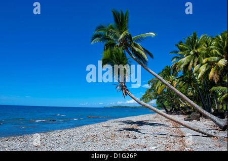 Strand auf Savo Island, Savo, Salomonen, Pazifik Stockfoto