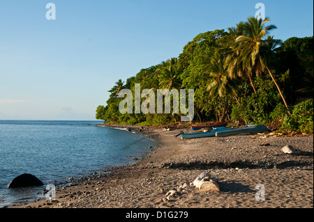 Strand auf Savo Island, Salomonen, Pazifik Stockfoto