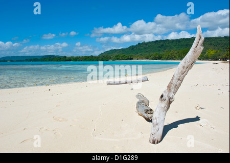 Treibholz auf den weißen Sand Strand von Port Orly, Insel Espiritu Santo, Vanuatu, South Pacific, Pazifik Stockfoto