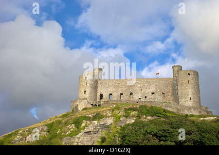 Harlech Castle im Sommersonnenschein, UNESCO-Weltkulturerbe, Gwynedd, Wales, Vereinigtes Königreich, Europa Stockfoto