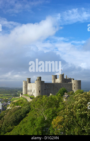 Harlech Castle im Sommersonnenschein, UNESCO-Weltkulturerbe, Gwynedd, Wales, Vereinigtes Königreich, Europa Stockfoto