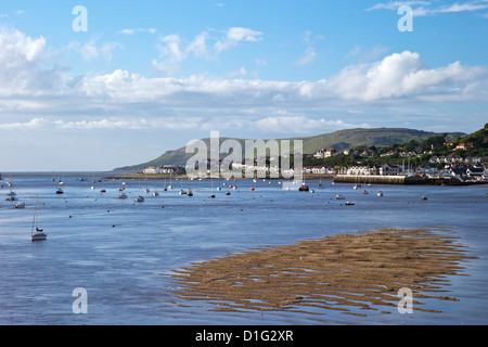 Mündung des Flusses Conwy auf Deganwy und Great Orme, Llandudno, im Sommer, Gwynedd, Nordwales, Vereinigtes Königreich, Europa Stockfoto