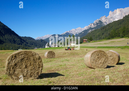 Heu-Feld in der Nähe von Canazei, Canazei, Trentino-Alto Adige, Italien, Europa Stockfoto