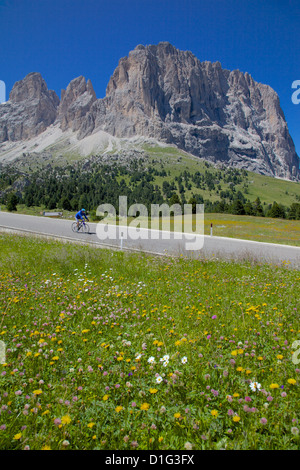 Radfahrer und Langkofel Gruppe, Sellajoch, Trient und Bozen Provinzen, Dolomiten, Italien, Europa Stockfoto