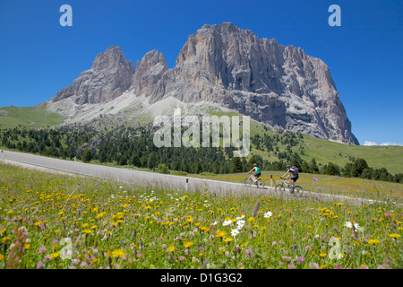 Radfahrer und Langkofel Gruppe, Sellajoch, Trient und Bozen Provinzen, Dolomiten, Italien, Europa Stockfoto