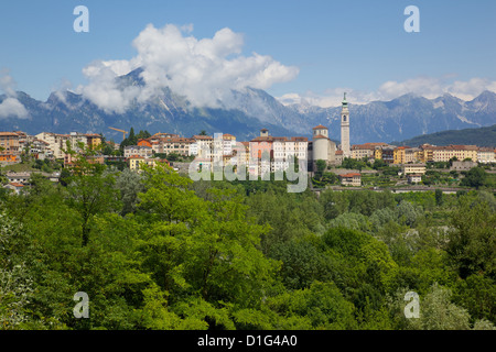 Blick auf Stadt und Dom von San Martino, Belluno, Provinz Belluno, Region Venetien, Italien, Europa Stockfoto