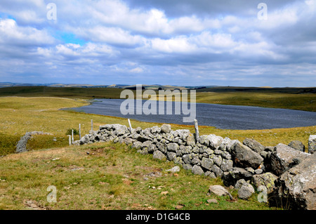 Saint Andeol See, Way of St. James nach Santiago De Compostela, Lozere, Aubrac, Frankreich, Europa Stockfoto