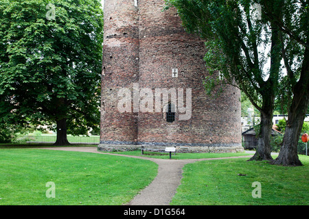 Kuh-Turm, Norwich, Norfolk, England, Vereinigtes Königreich, Europa Stockfoto