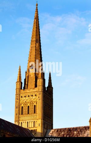 Norwich Cathedral Turm und Spire bei Sonnenuntergang, Norwich, Norfolk, England, Vereinigtes Königreich, Europa Stockfoto