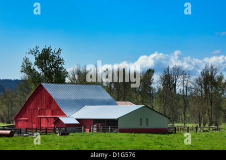 Rote Scheune in einem grünen Feld Stockfoto