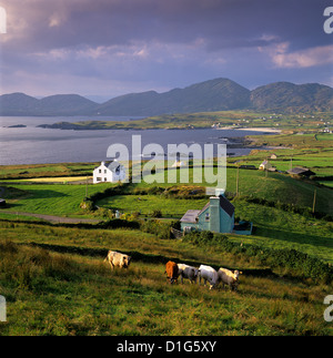 Blick in Allihies und Ballydonegan Bay, Beara Halbinsel, County Cork, Munster, Irland, Europa Stockfoto