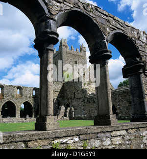 Ruinen der Zisterzienser Jerpoint Abbey, Jerpoint, Grafschaft Kilkenny, Leinster, Irland, Europa Stockfoto